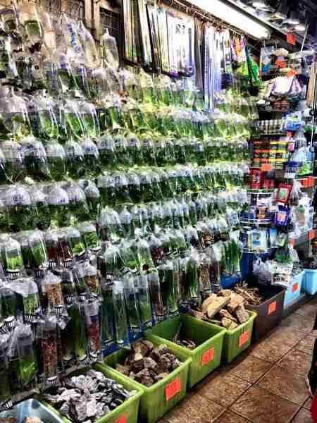 Hong Kong Fish Store Bags of Plants Ready to Go