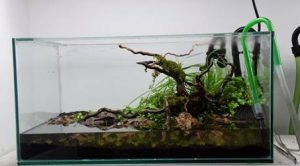 Major water change