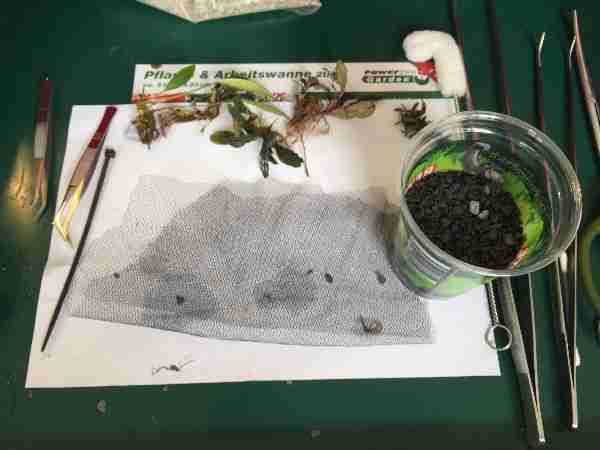 Wabi sabi for the planted aquarium is easy to make.