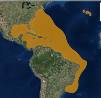 IUCN Range Map for Hippocampus erectus