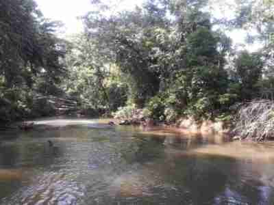 Río Dulce National Park